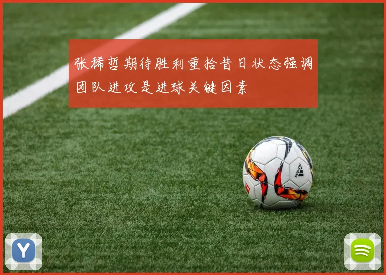 张稀哲期待胜利重拾昔日状态强调团队进攻是进球关键因素